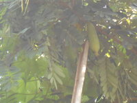 DSCN0919.JPG