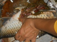 DSCN0946.JPG
