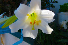 IMG_0776.JPG