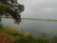 DSCN1131.JPG