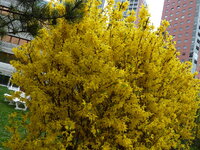 P1010618.JPG