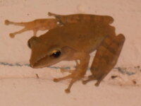 DSCN1148.JPG