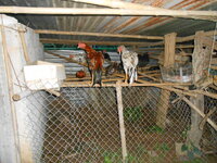 DSCN1151.JPG