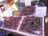 DSCN0815.JPG