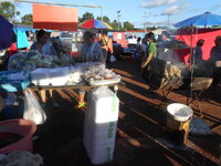 DSCN0818.JPG