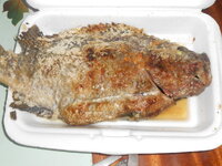 DSCN0827.JPG