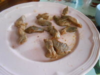 DSCN1108.JPG