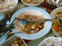 DSCN1267.JPG