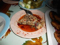 DSCN1278.JPG