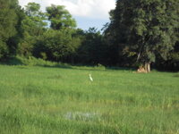 DSCN1183.JPG