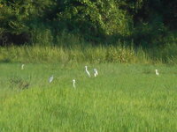 DSCN1184.JPG