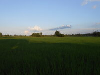 DSCN1188.JPG