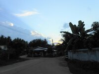 DSCN1195~3.JPG