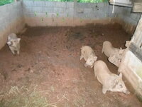 DSCN1197.JPG