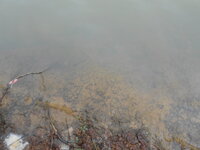 DSCN1297.JPG