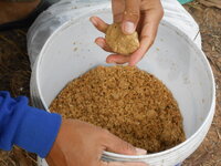 DSCN1306.JPG