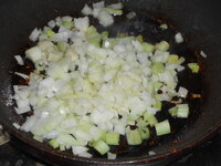 DSCN0099.JPG