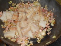 DSCN0102.JPG