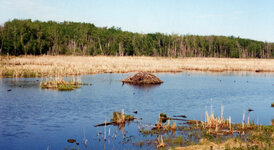 Canada-Alberta ''Elk Island National Park'' (6).jpg