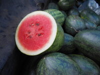 DSCN1296.JPG