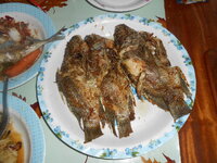 DSCN1291.JPG
