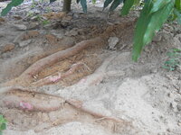 DSCN1307.JPG