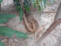 DSCN1308.JPG