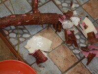 DSCN1313.JPG