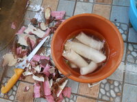 DSCN1323.JPG