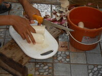 DSCN1324.JPG