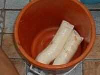 DSCN1315.JPG