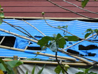 DSCN1331.JPG