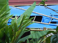 DSCN1332.JPG