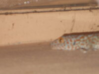 DSCN1285.JPG