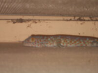 DSCN1289.JPG