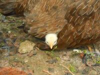 DSCN1322.JPG