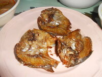 DSCN1146.JPG