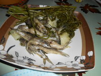 DSCN0949.JPG