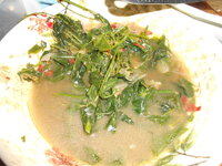 DSCN0501.JPG