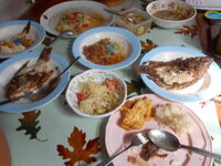 DSCN0506.JPG