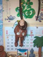 IMG_20200613_210351.jpg