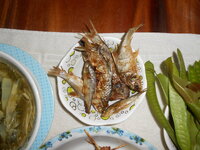 DSCN1170.JPG