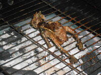 DSCN9080.JPG