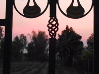 DSCN8686.JPG