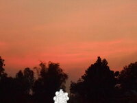 DSCN8681.JPG