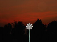 DSCN8682.JPG