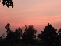 DSCN8678.JPG