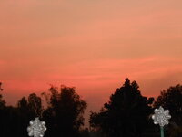 DSCN8679.JPG
