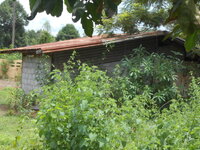 DSCN1226.JPG