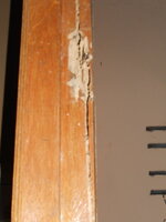DSCN8829.JPG